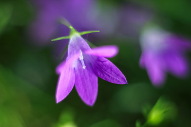 Similar image 22007118