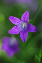 Similar image 22007120