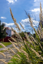 Similar image 22007122