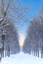 Similar image 22007132