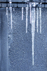 Similar image 22007135