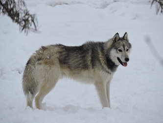 Similar image 22014483