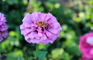 Similar image 22007668