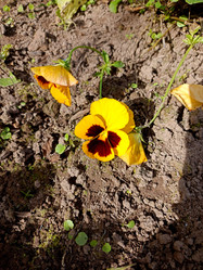 Similar image 22007672