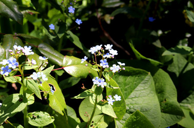 Similar image 22007673