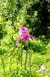 Similar image 22007674