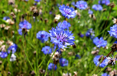 Similar image 22007675