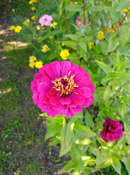 Similar image 22007676