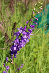 Similar image 22007678