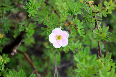 Similar image 22007679