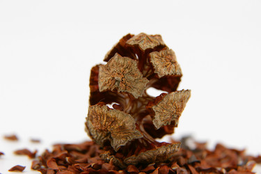 Similar image 22006655