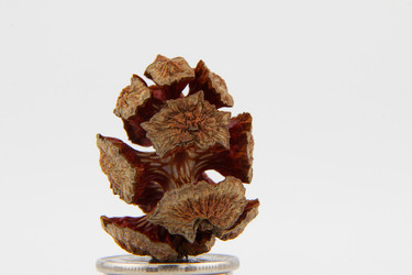 Similar image 22006656