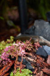 Similar image 22014209