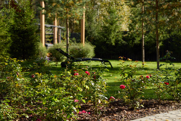 Similar image 22014212