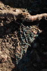 Similar image 22014218