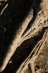 Similar image 22014219