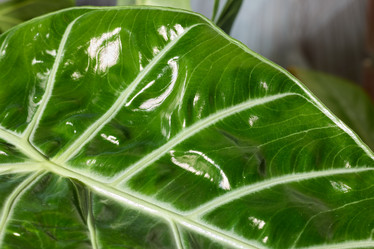 Similar image 22014232