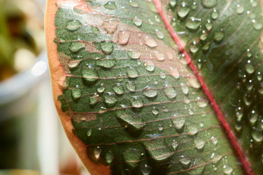 Similar image 22014234