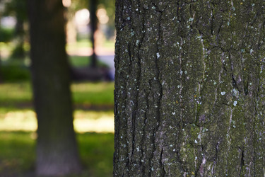 Similar image 22014461