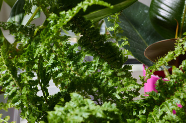 Similar image 22017419