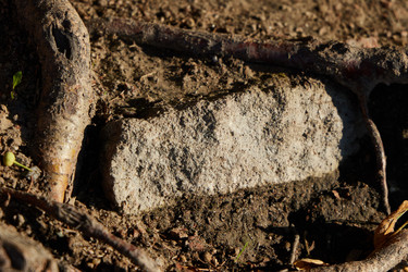 Similar image 22017446