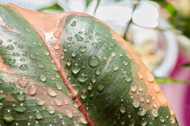 Similar image 22018511