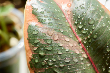 Similar image 22018512