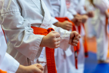 Similar image 22015008