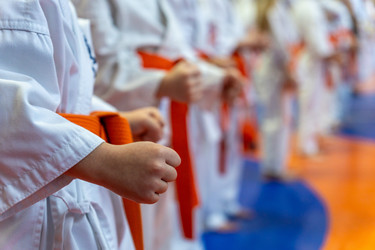 Similar image 22015010