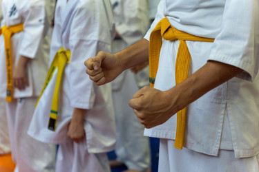 Similar image 22015019