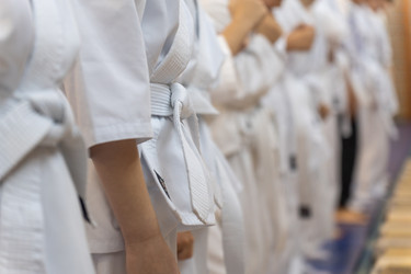 Similar image 22015022