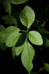 Similar image 22014244