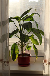 Similar image 22014249