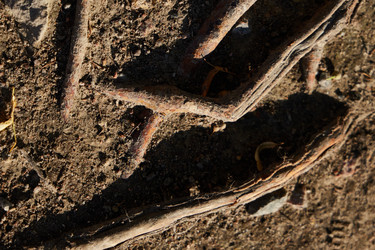 Similar image 22014251