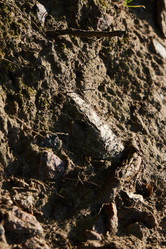 Similar image 22014253