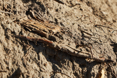 Similar image 22014254