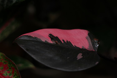 Similar image 22014258