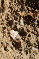 Similar image 22014260