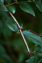 Similar image 22014263