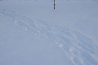 Similar image 22014264