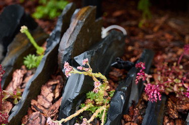 Similar image 22014275