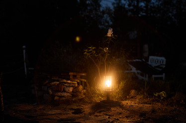 Similar image 22017424