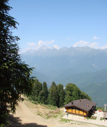 Similar image 22007174