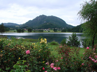 Similar image 22007178