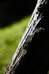 Similar image 22014085