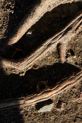 Similar image 22014105