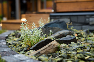 Similar image 22014109