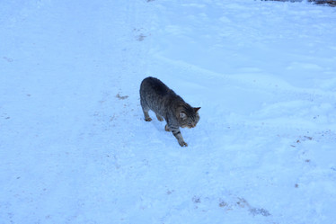 Similar image 22014119