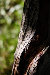 Similar image 22014124