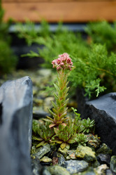 Similar image 22014278